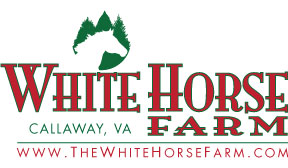 white horse – rvhr.com